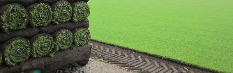 Kom alle grasmatten bij tuincentrum tielens ontdekken